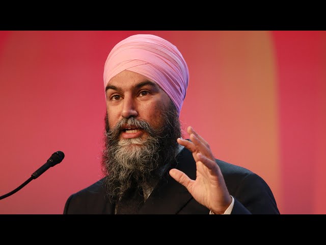 ⁣What are the priorities of the NDP ahead of Parliament's resumption? | CANADIAN POLITICS