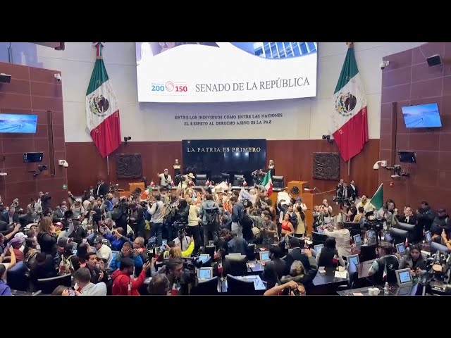 ⁣Protesters breach Mexican Senate over judicial reform