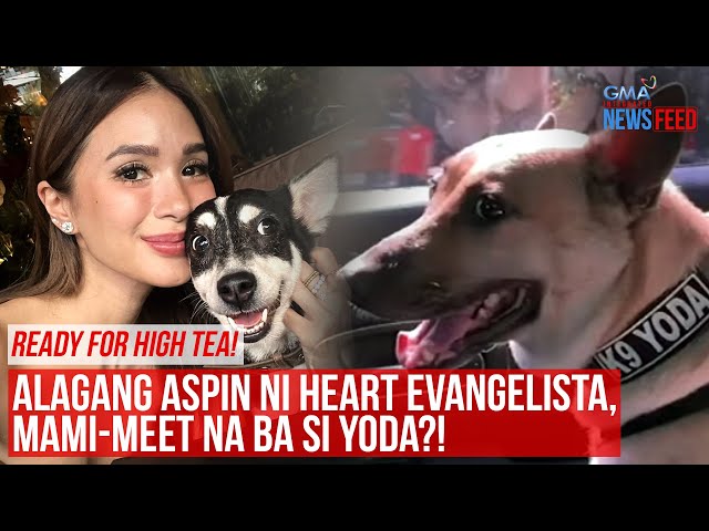 ⁣Alagang aspin ni Heart Evangelista, mami-meet na ba si Yoda?! | GMA Integrated Newsfeed