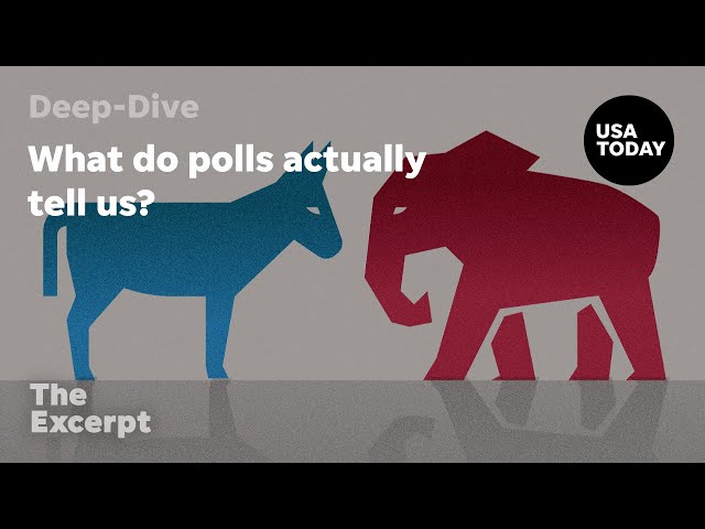 ⁣What do polls actually tell us? | The Excerpt