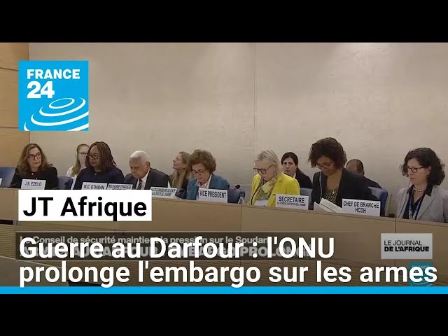 ⁣Guerre au Darfour : l'ONU prolonge l'embargo sur les armes • FRANCE 24