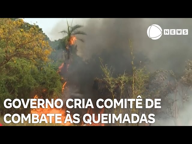 ⁣Governo cria comitê para combater incêndios florestais