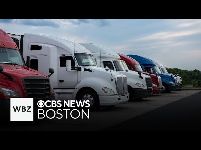 ⁣After drivers have their CDLs revoked, Massachusetts lawmakers call for change