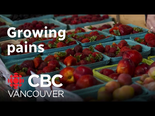 ⁣Struggling to find B.C. produce? This farmer explains why