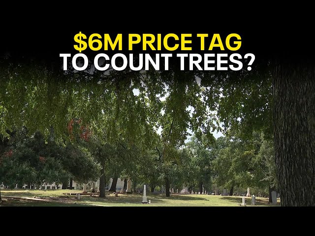 ⁣Dallas City Council approves contract to count city's trees, despite concerns over $6M price ta