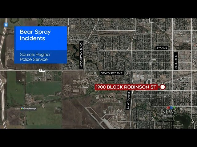 ⁣Police in Sask. searching for suspects in connection with bear spray incidents