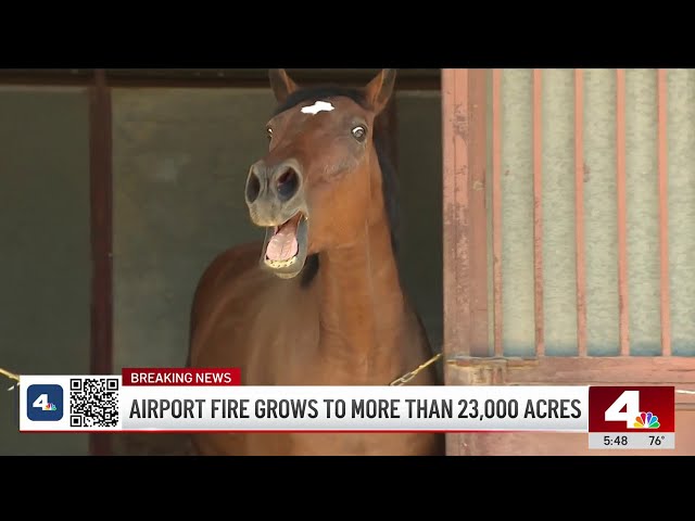 ⁣Airport Fire evacuees get help in sheltering their horses