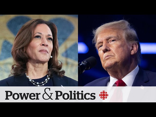 ⁣Kamala Harris’s debate performance a ‘clear-cut win,’ says debate historian | Power & Politics