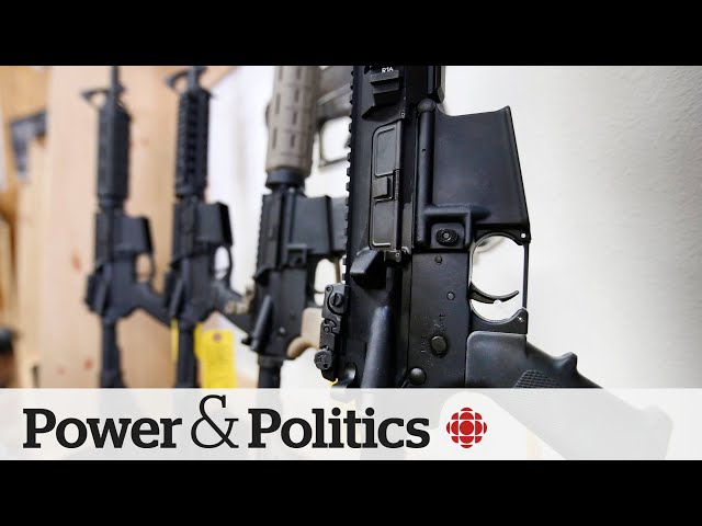 ⁣Gun control group calls federal buyback program a 'waste' of money | Power & Politics