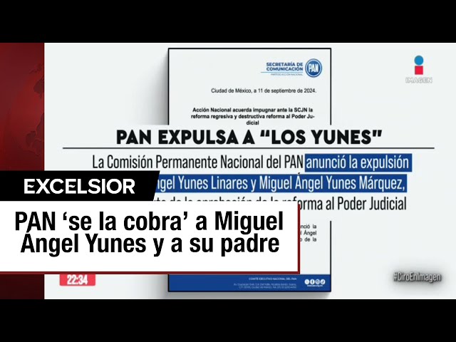 ⁣PAN expulsa a Yunes Márquez y Yunes Linares por votar a favor de Reforma Judicial