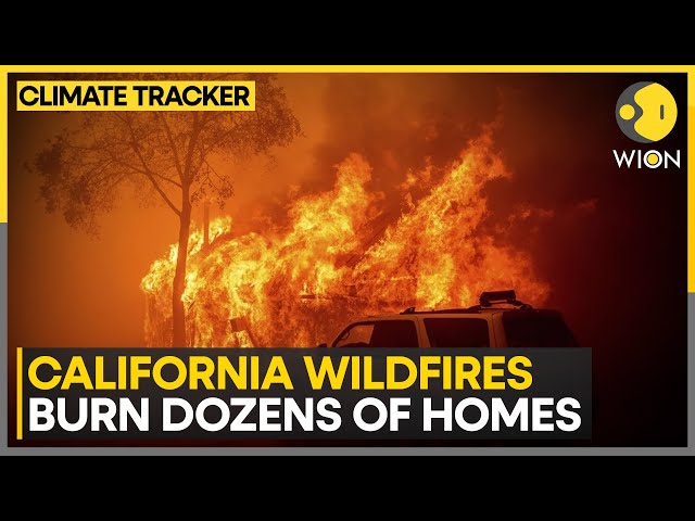 ⁣California wildfires devastate dozens of homes, fueled by intense heatwave | WION Climate Tracker