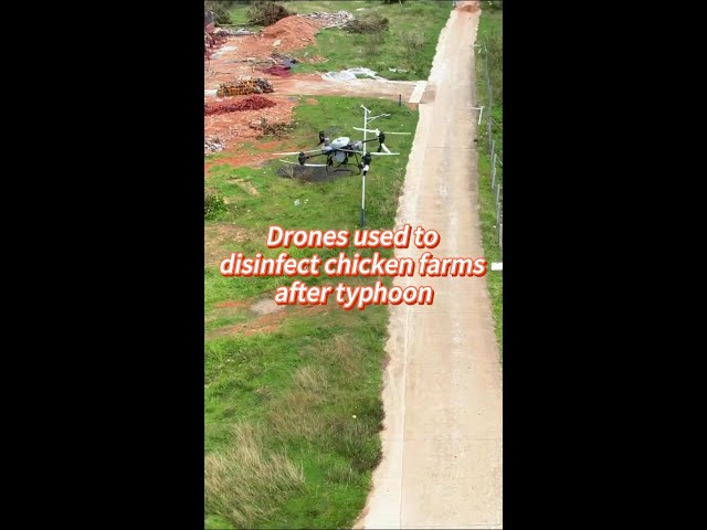 ⁣Drones used to disinfect chicken farms in China's Hainan after typhoon