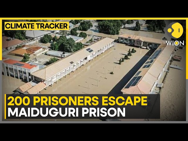 ⁣Nigeria: Prison wall collapses due to floods, 200 prisoners escape | WION Climate Tracker