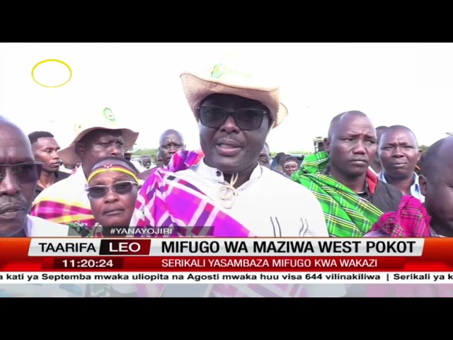 ⁣Mifugo wa maziwa West Pokot: Serikali ya kaunti yaanza kusambaza mifugo wa maziwa kwa wakazi