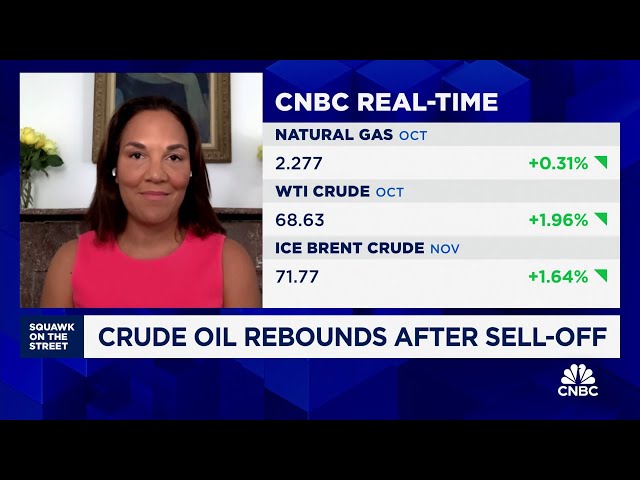 ⁣Crude oil to see 'oversupply situation' in 2025, RBC Capital's Helima Croft