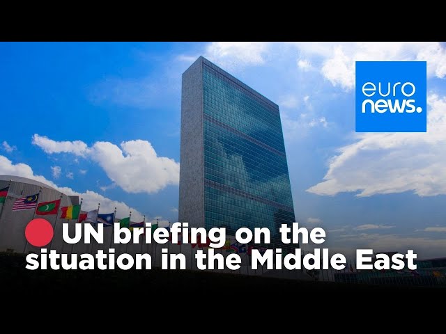 ⁣ LIVE - UN briefing on the situation in the Middle East | euronews 