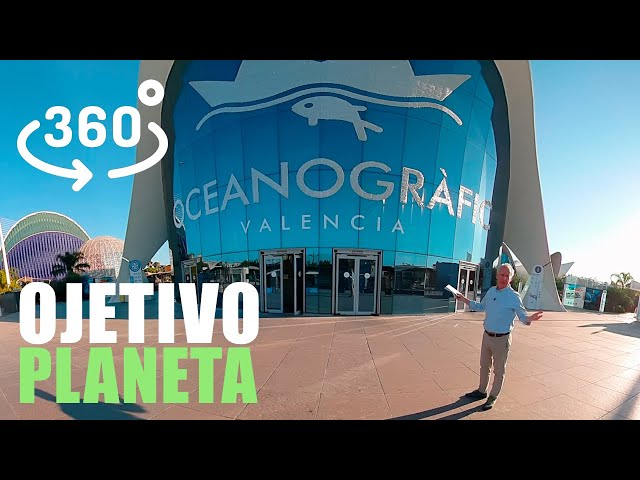 ⁣Objetivo Planeta | Oceanogràfic Valencia | Video 360 | Lab RTVE