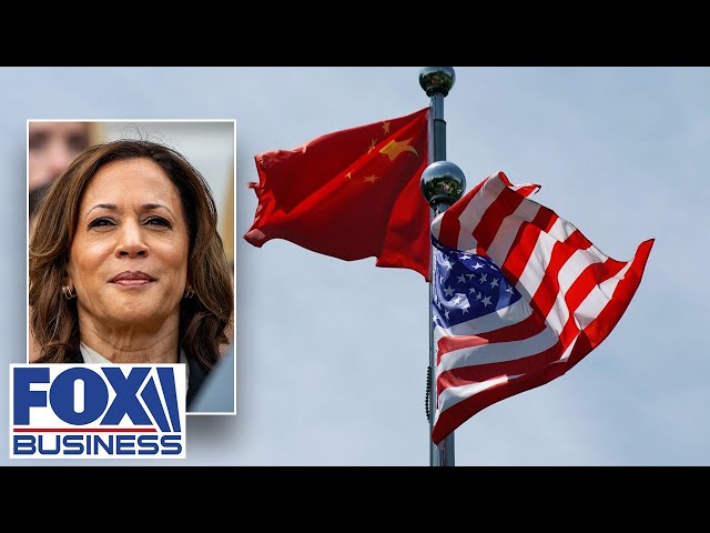 Kamala Harris is wrong on this, China expert claims