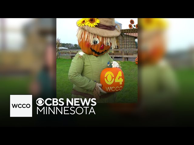 ⁣Minnesota’s Pinehaven Farm rolls out fall fun