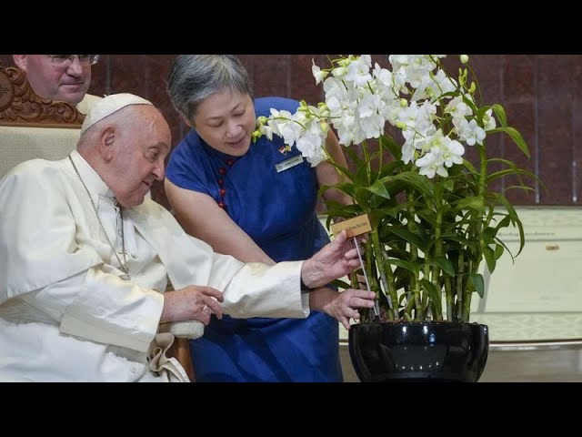 ⁣Der Papst auf der letzten Etappe seiner Südostasienreise