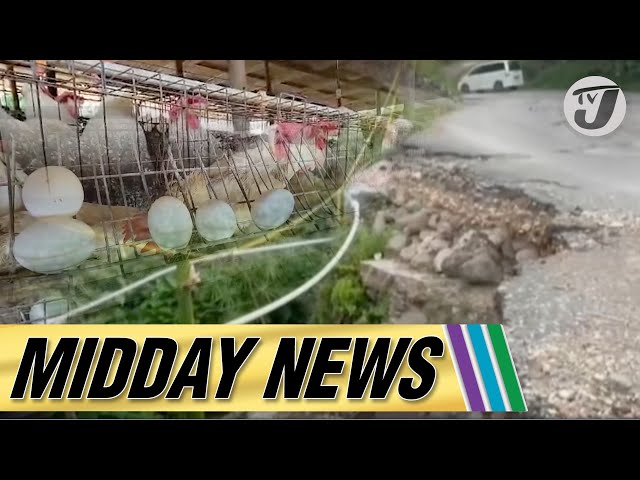 ⁣2 Men Die in Motor Vehicle Crash in St Catherine | Egg Shortage | Roads in Chapelton & Trout Hal