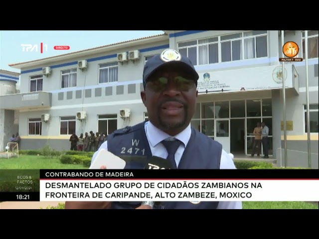 ⁣Contrabando de madeira - Desmantelado grupo de cidadãos Zambianos na fronteira de Caripande, Alto