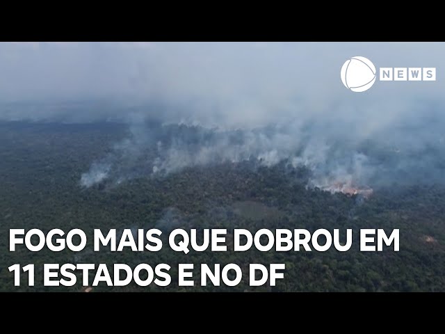 ⁣Fogo mais que dobrou em 11 estados e no Distrito Federal