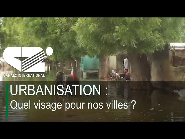 ⁣URBANISATION : Quel visage pour nos villes ? ( DEBRIEF DE L'ACTU du Jeudi 12/09/2024 )