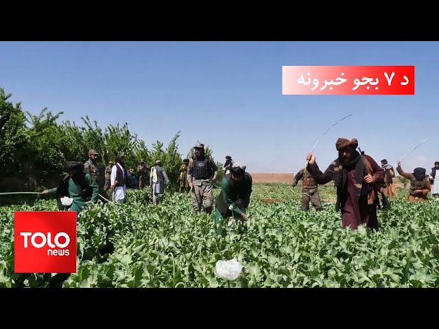 ⁣TOLOnews - 7pm News - 12 Sept 2024 | د طلوع نیوز د ۷ بجو خبرونه - د ۱۴۰۳ لمریز کال د وږي ۲۲مه نېټه