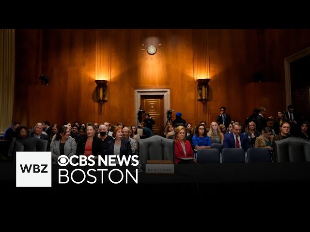 ⁣Steward nurses testify at Senate hearing where CEO is a no-show and other top stories