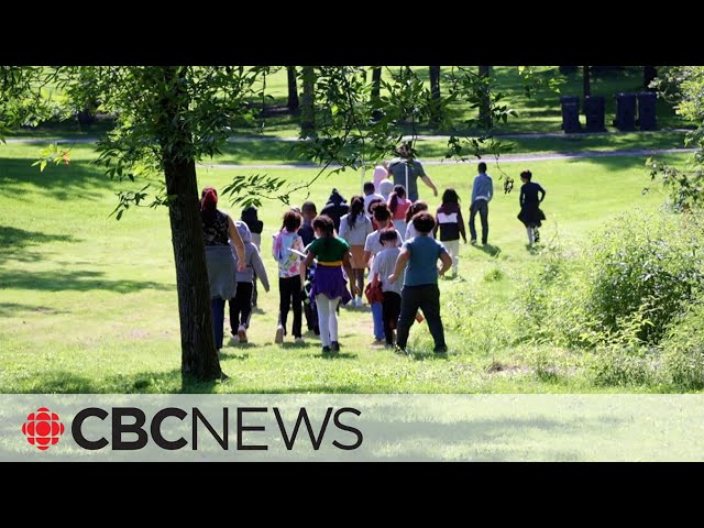 ⁣Children get out of the classroom and onto Mount Royal with nature program