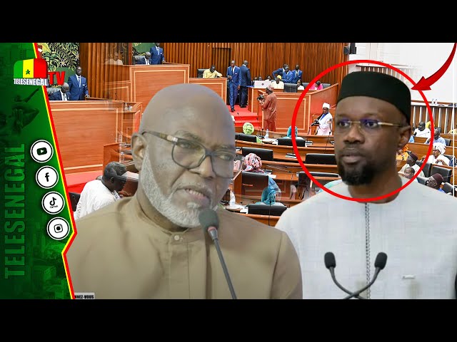 ⁣La vraie raison pour laquelle sonko n'est pas allé à l'assemblée c'est..."(Amado