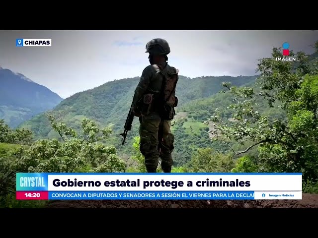 ⁣El gobierno estatal de Chiapas protege a criminales | Noticias con Crystal Mendivil