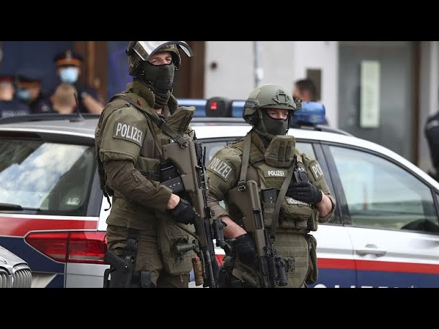 ⁣Austria raids alleged Islamist extremists in run-up to anniversary of 9/11 terror attack