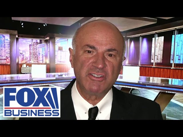 ⁣'HUGE MISTAKE': Kevin O'Leary warns this Harris policy will have a 'horrific out