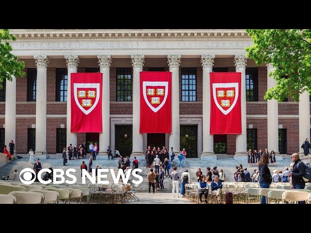 ⁣Black enrollment dips at top universities after end of affirmative action