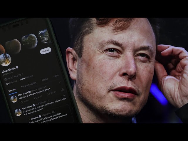 ⁣Elon Musk criticises Labor's social media laws