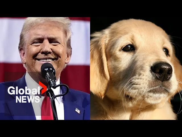 ⁣“They're eating the dogs”: Trump's false claims at US debate stir up fears in small town O