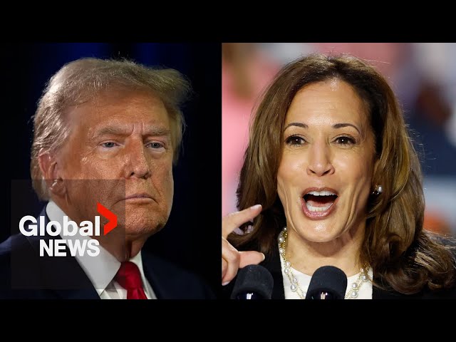 ⁣US election 2024: Harris seen as debate winner, widens lead over Trump in polls