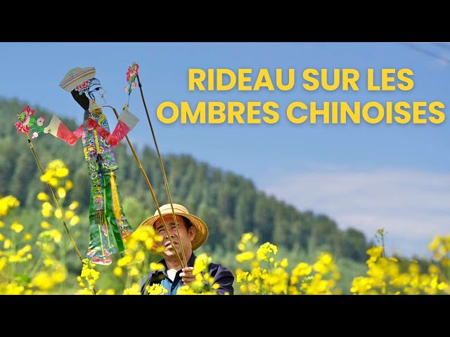 ⁣Rideau sur les Ombres Chinoises