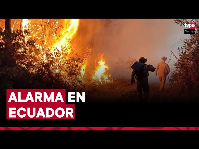 Ecuado: incendio forestal desata alarma en turística loma de Quito