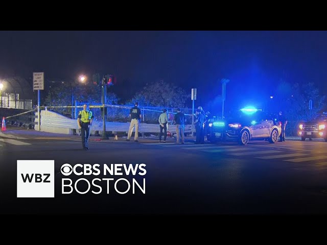 ⁣Man shot during confrontation with pro-Israeli demonstrators in Newton