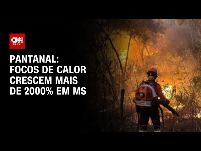 ⁣Pantanal: focos de calor crescem mais de 2000% em MS | CNN NOVO DIA