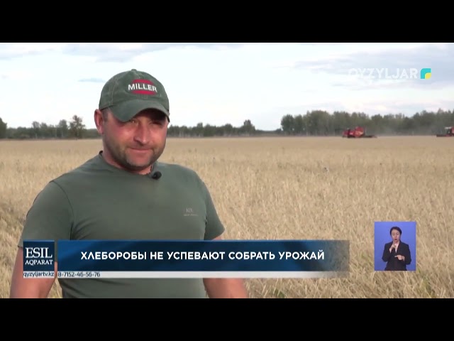 ⁣Хлеборобы не успевают собрать урожай