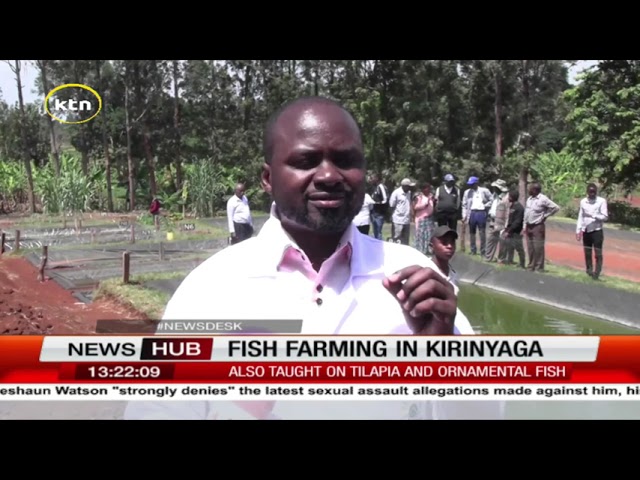 ⁣Fish farmers in Kirinyaga trained on the breeding of catfish