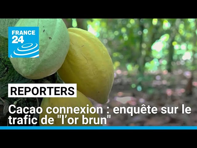 ⁣Cacao connexion : Côte d'Ivoire, Guinée, Liberia… Enquête sur le trafic de "l’or brun"