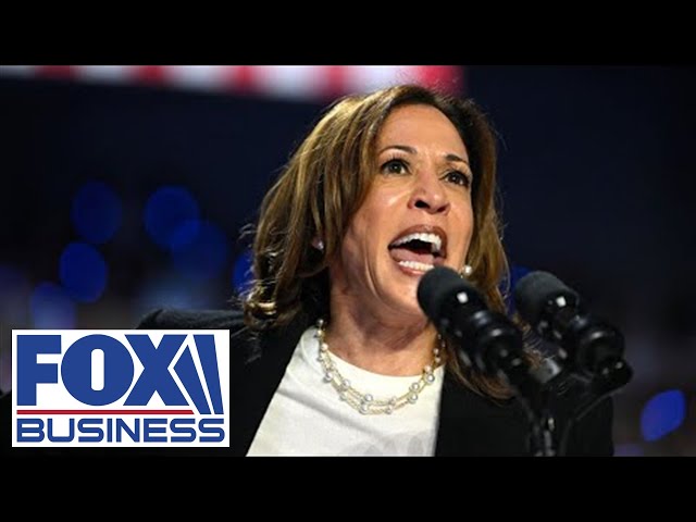 ⁣These are the most ‘unbelievable, ridiculous, disappointing’ comments from Harris: NJ rep