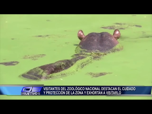 ⁣Visitantes del Zoológico Nacional destacan cuidado y protección de la zona