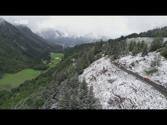 ⁣Svizzera, prima nevicata stagionale a Les Diablerets