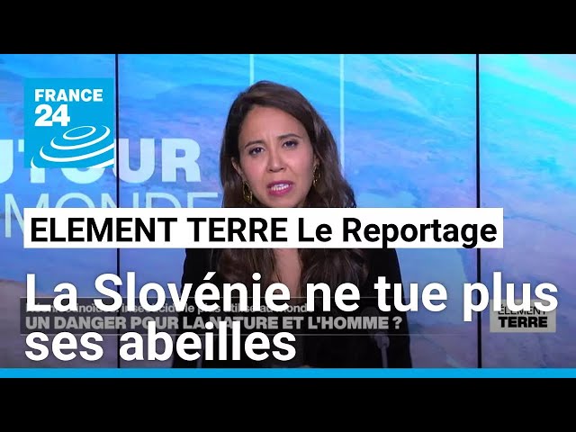 ⁣La Slovénie ne tue plus ses abeilles en se passant des neonicotinoïdes • FRANCE 24